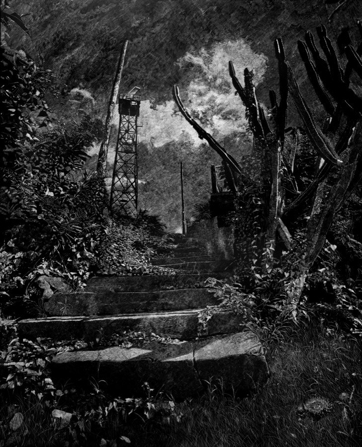Scratchboard drawing of worn stone steps climbing between overgrown banks, with tall candelabra cacti to one side and a lattice watchtower against a break of cloud.